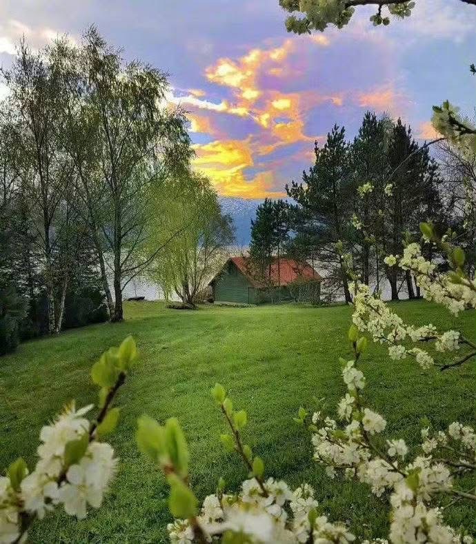 Nếu Cậu Là Một Kẻ Nhát Gan