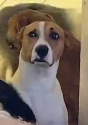 Tôi Bị Bắt Cóc Và Trở Thành Khách Quý Của Ông Chủ Khu Tự Trị